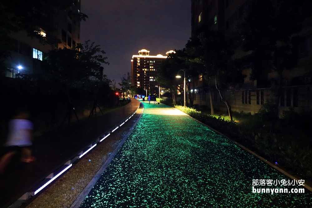 桃園》夜拍新景點！桃園陸地版綠眼淚新登場，彷彿銀河般夢幻，還能騎單車賞綠眼淚～