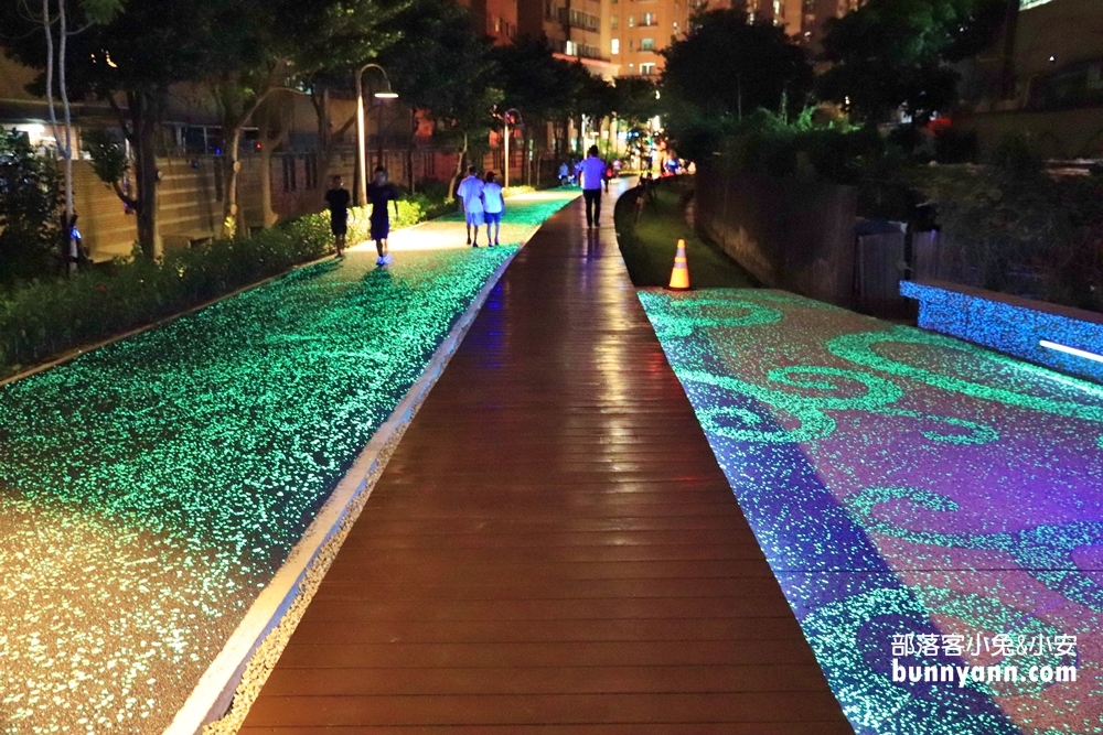 桃園》夜拍新景點！桃園陸地版綠眼淚新登場，彷彿銀河般夢幻，還能騎單車賞綠眼淚～