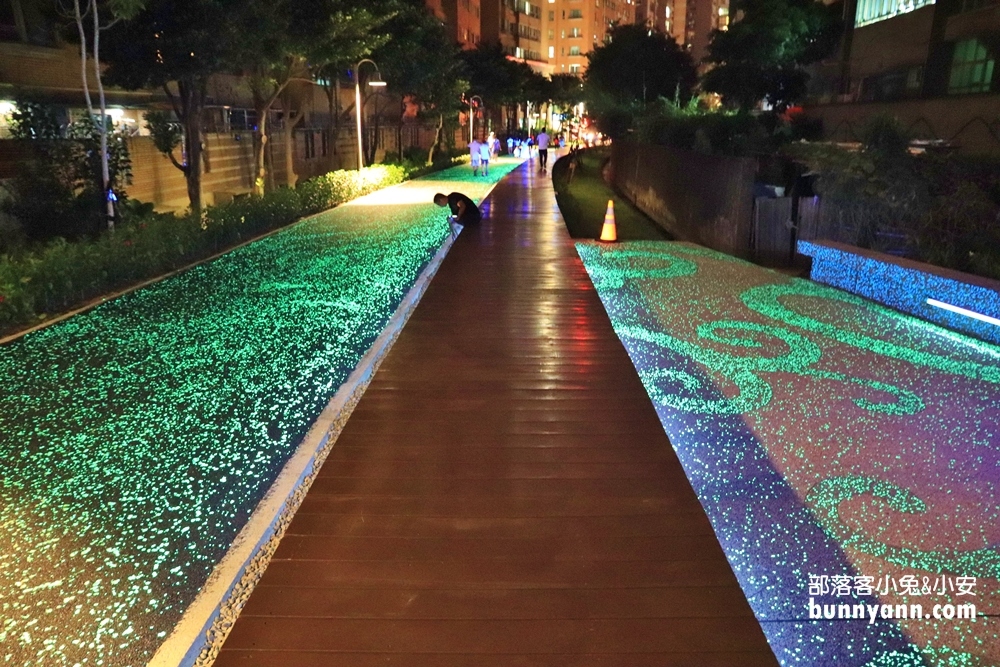 桃園》夜拍新景點！桃園陸地版綠眼淚新登場，彷彿銀河般夢幻，還能騎單車賞綠眼淚～