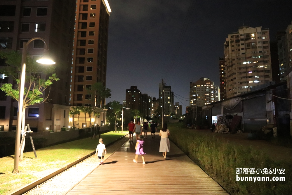 桃園》夜拍新景點！桃園陸地版綠眼淚新登場，彷彿銀河般夢幻，還能騎單車賞綠眼淚～