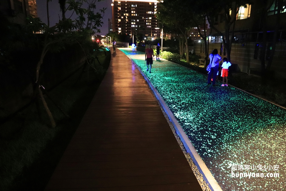 桃園》夜拍新景點！桃園陸地版綠眼淚新登場，彷彿銀河般夢幻，還能騎單車賞綠眼淚～