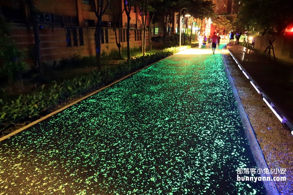 桃園》夜拍新景點！桃園陸地版綠眼淚新登場，彷彿銀河般夢幻，還能騎單車賞綠眼淚～