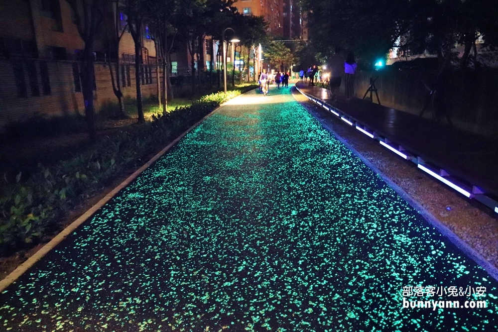 桃園》夜拍新景點！桃園陸地版綠眼淚新登場，彷彿銀河般夢幻，還能騎單車賞綠眼淚～