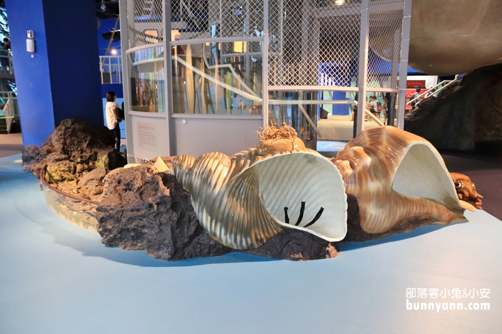 2025【海科館】基隆海洋科技博物館，暢遊海洋劇場與親子樂園（門票、展覽、交通攻略）