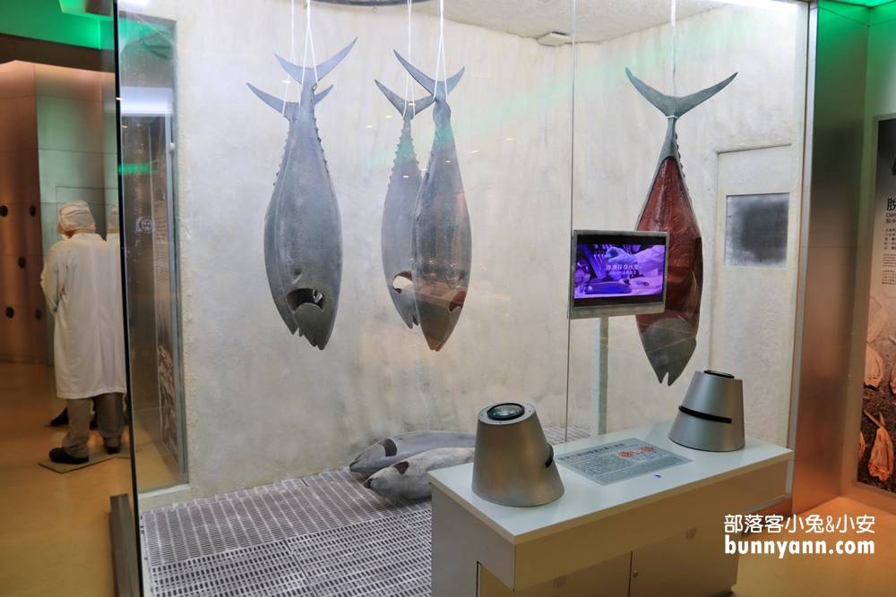 2025【海科館】基隆海洋科技博物館，暢遊海洋劇場與親子樂園（門票、展覽、交通攻略）