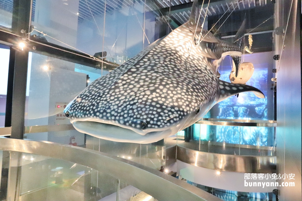 2025【海科館】基隆海洋科技博物館，暢遊海洋劇場與親子樂園（門票、展覽、交通攻略）