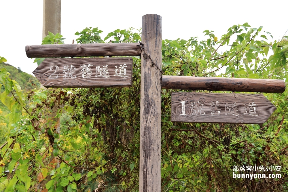 海線秘境！後龍過港隧道，神隱少女山洞，騎單車欣賞海景