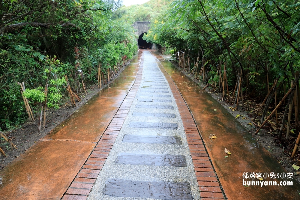 海線秘境！後龍過港隧道，神隱少女山洞，騎單車欣賞海景
