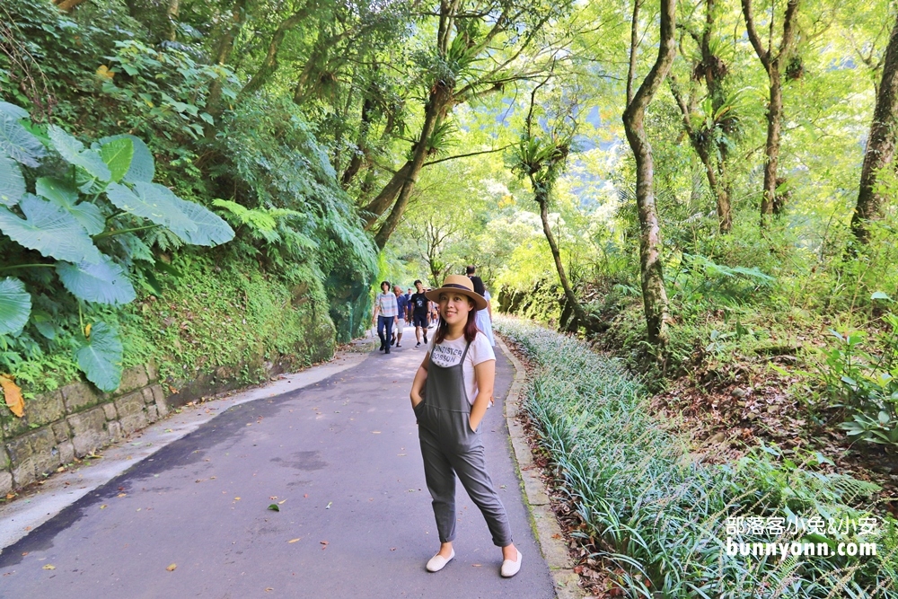 【內洞國家森林遊樂區】全程一小時輕鬆來回，沿途綠意盎然、涼爽舒適