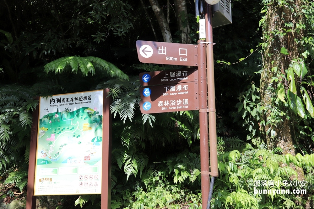【內洞國家森林遊樂區】全程一小時輕鬆來回，沿途綠意盎然、涼爽舒適