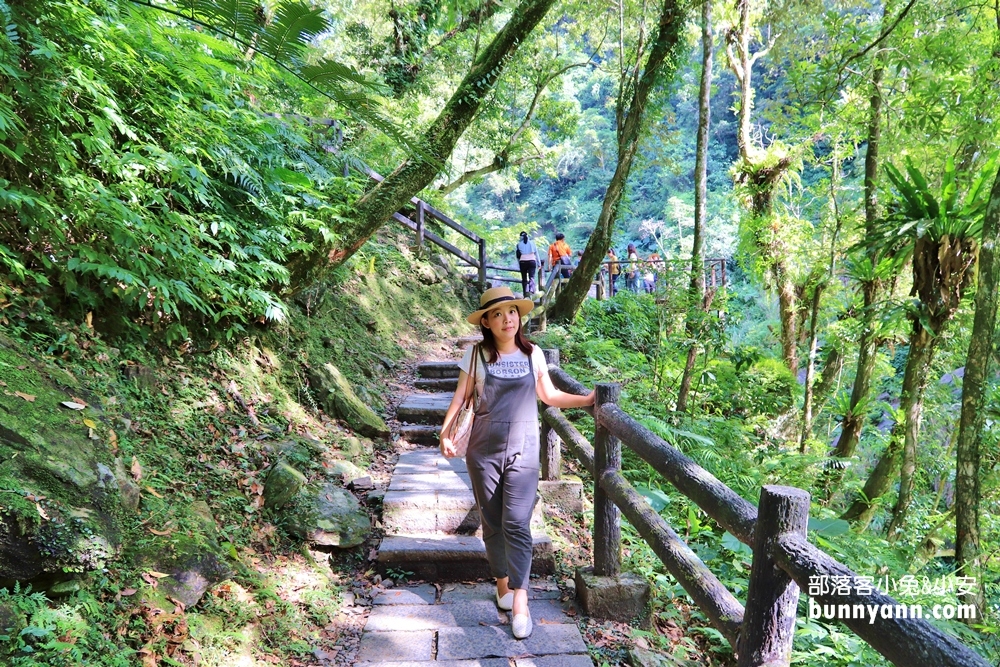 【內洞國家森林遊樂區】全程一小時輕鬆來回，沿途綠意盎然、涼爽舒適