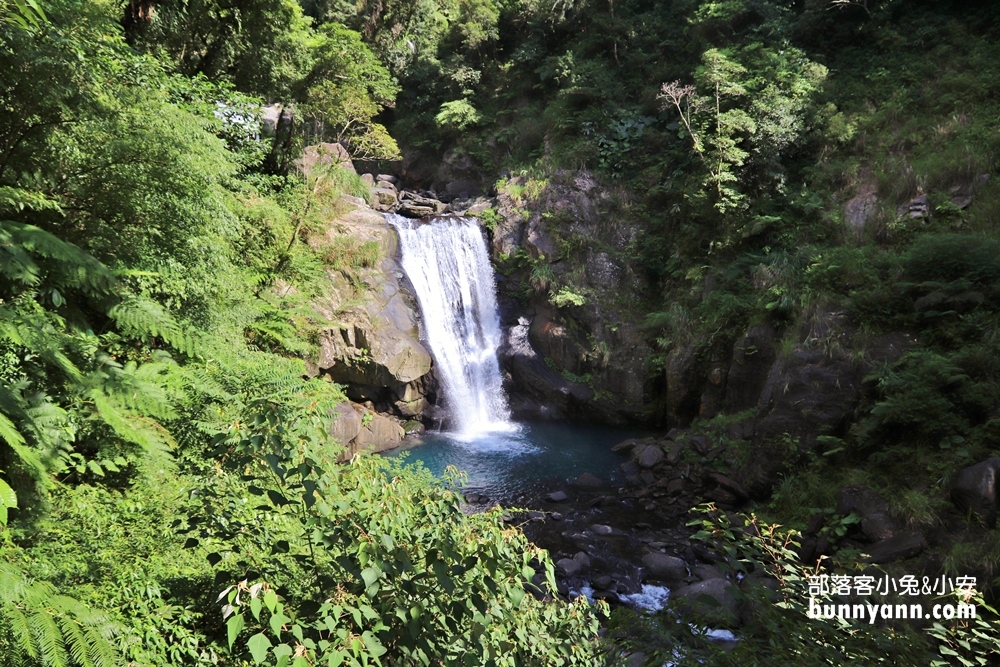 【內洞國家森林遊樂區】全程一小時輕鬆來回，沿途綠意盎然、涼爽舒適