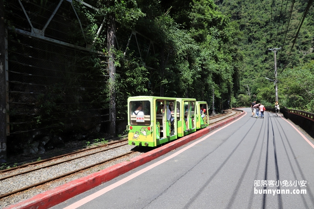 2025新北烏來景點一日遊，來去烏來老街吃美食搭台車賞瀑布