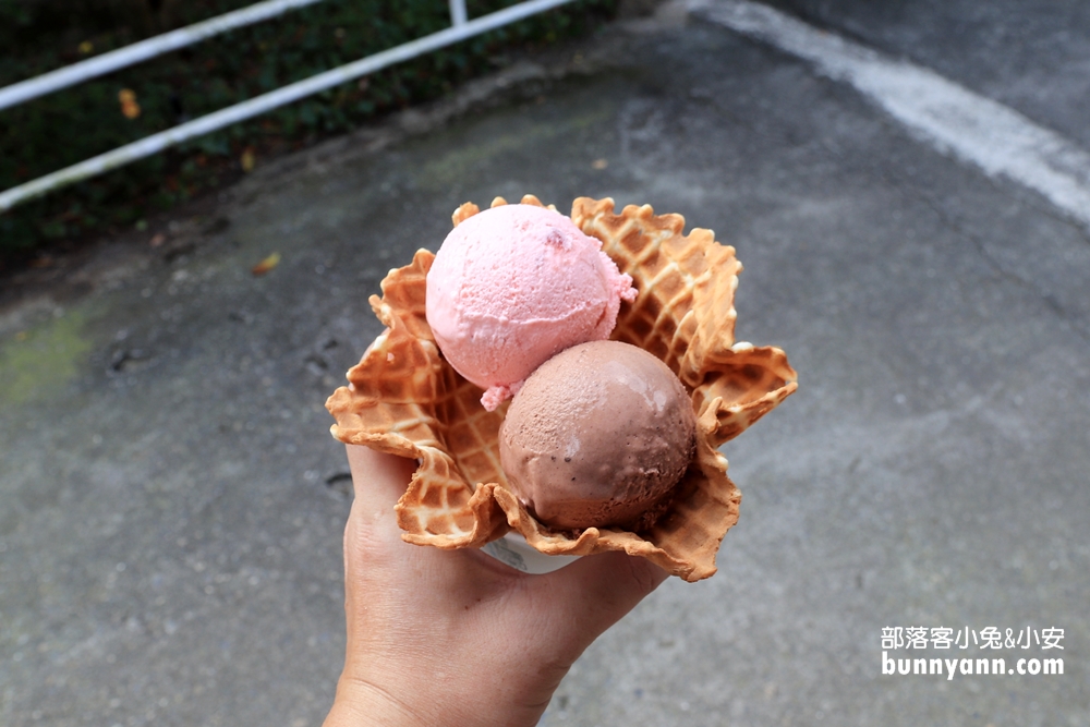 嘉義景點》綠盈牧場(粉牛樂園)全年齡都適合，牽牛花溜滑梯超好玩