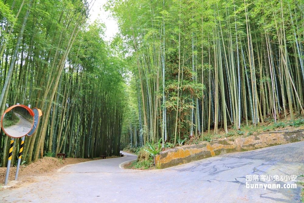 嘉義【瑞里綠色隧道】美到像瞬間飛到日本嵐山！