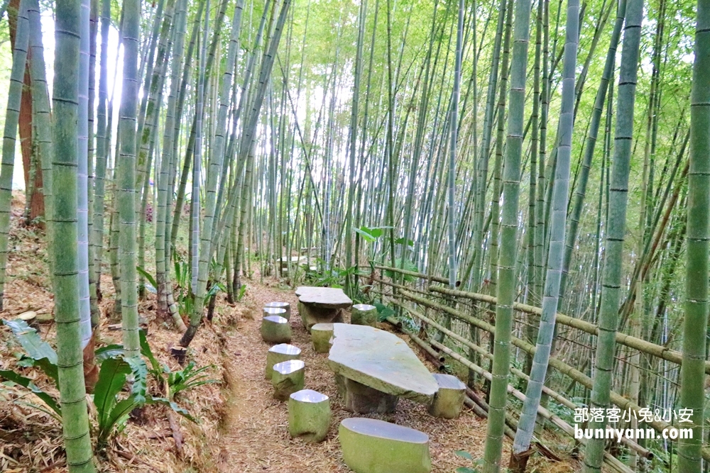 嘉義【瑞里綠色隧道】美到像瞬間飛到日本嵐山！