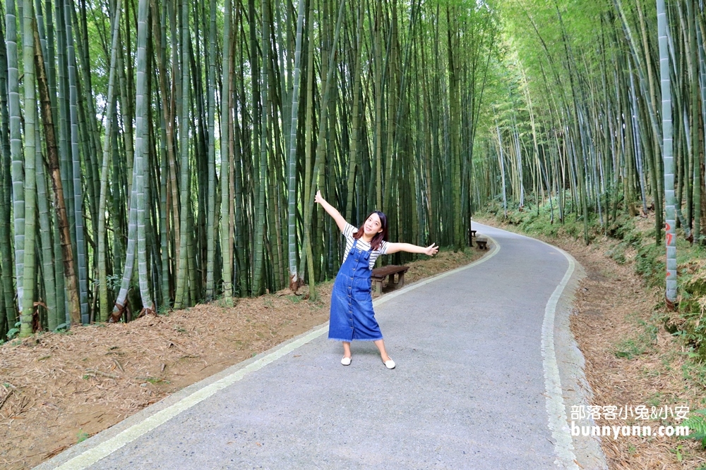 嘉義【瑞里綠色隧道】美到像瞬間飛到日本嵐山！