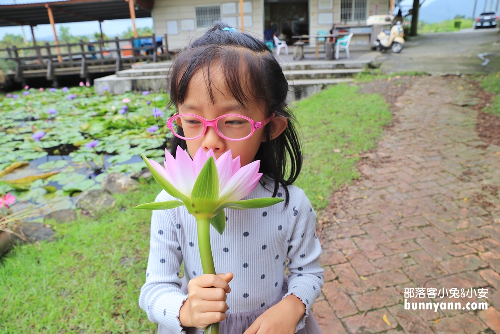 花蓮景點蓮城蓮花園，免費請你喝大壺蓮花茶，還可戲水跟餵魚