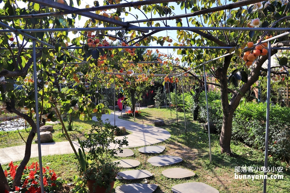 「金漢杮餅教育農園」古早三合院與金黃曬柿子場景超美!!