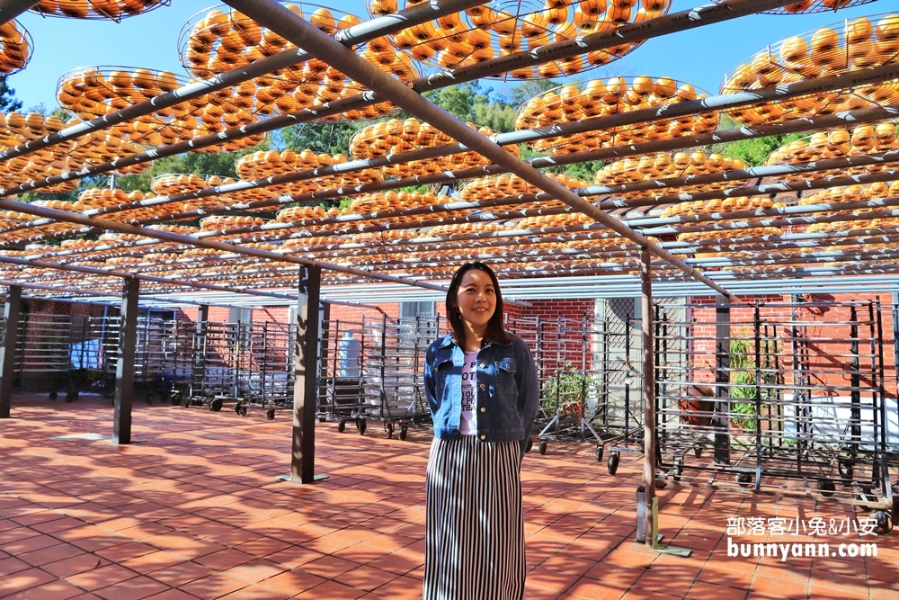 「金漢杮餅教育農園」古早三合院與金黃曬柿子場景超美!!