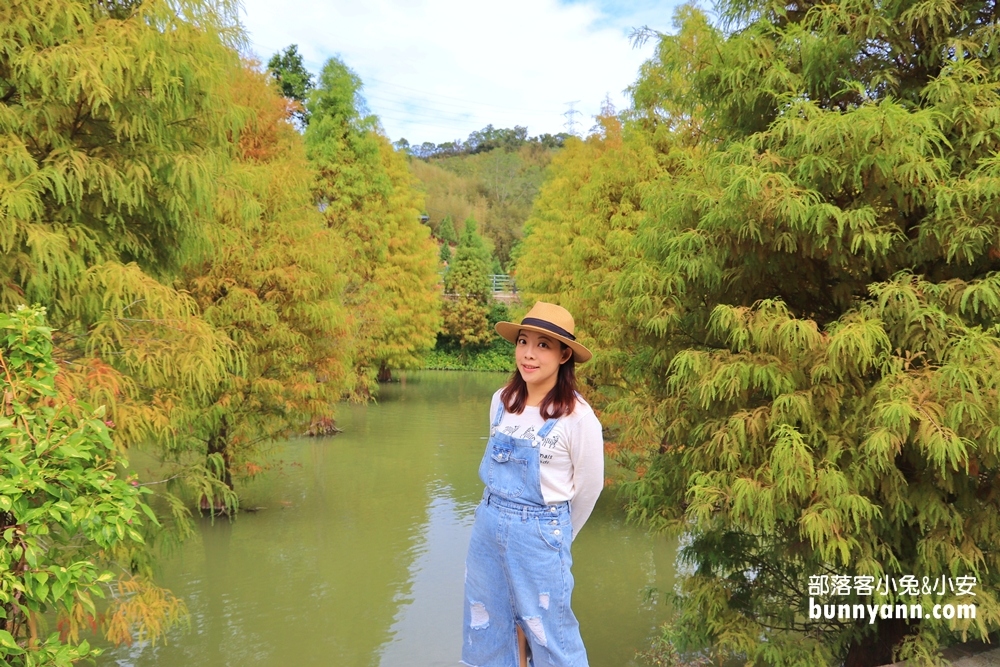 苗栗【三灣落羽松】秘境莊園漸層色水上落羽松林，附近景點美食一日遊