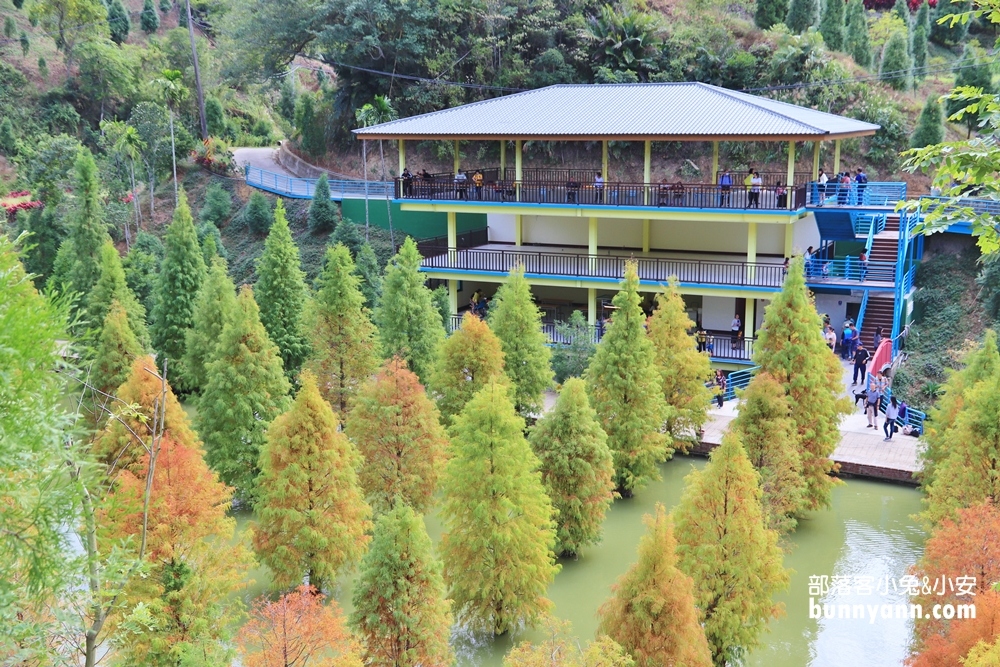 苗栗【三灣落羽松】秘境莊園漸層色水上落羽松林，附近景點美食一日遊