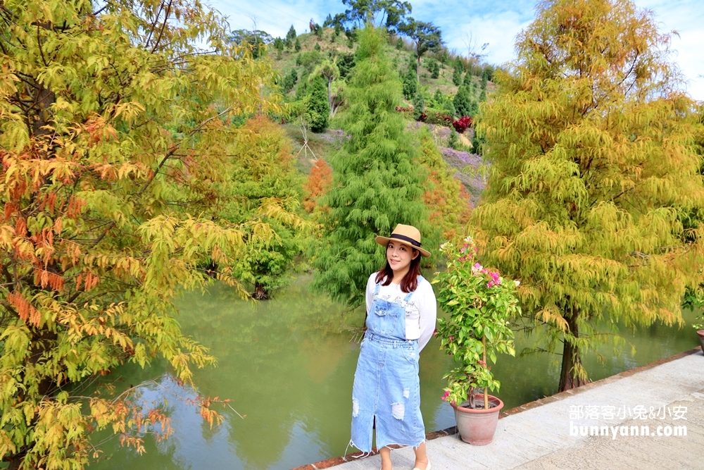 苗栗【三灣落羽松】秘境莊園漸層色水上落羽松林，附近景點美食一日遊