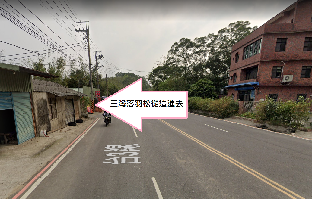 苗栗【三灣落羽松】秘境莊園漸層色水上落羽松林，附近景點美食一日遊