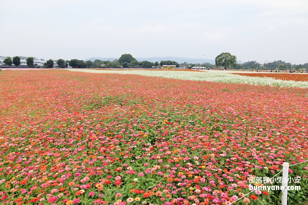 2024【新社花海】推薦超過20個花海附近景點從城堡及餐廳玩到森林花園
