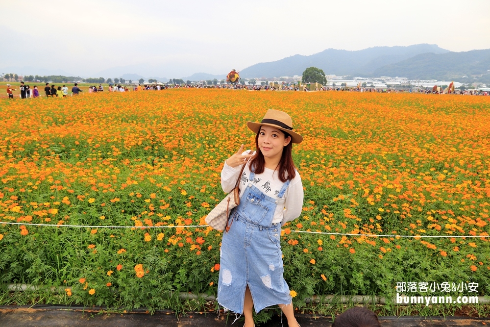 台中【新社景點】超過10個必遊新社一日遊景點＆美食攻略，玩遍城堡莊園！