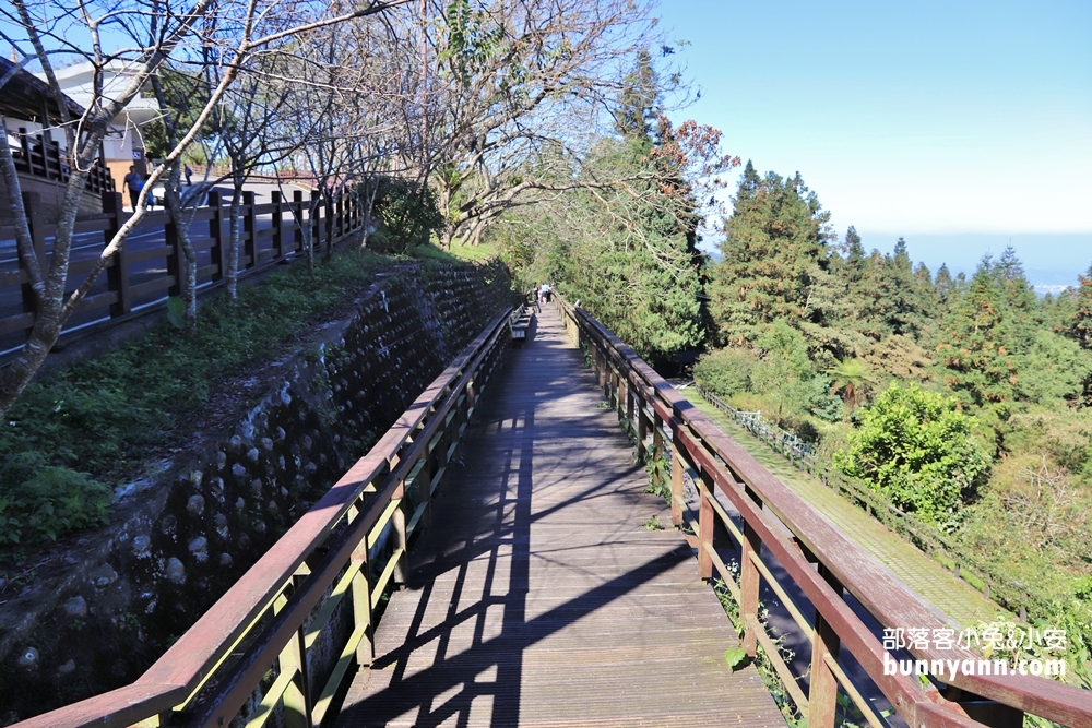 南投鳳凰谷鳥園生態園區，停留時間、門票優惠、環境一次攻略。