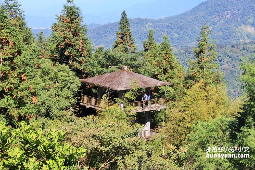 南投鳳凰谷鳥園生態園區，停留時間、門票優惠、環境一次攻略。