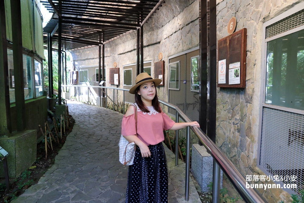 南投鳳凰谷鳥園生態園區，停留時間、門票優惠、環境一次攻略。