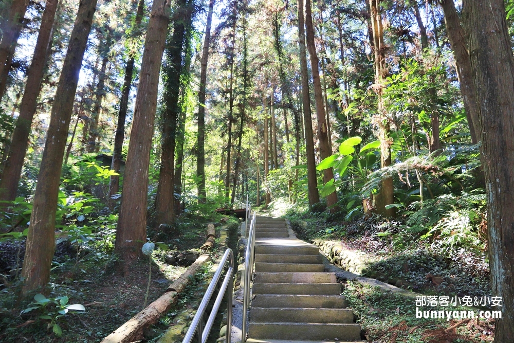 南投鳳凰谷鳥園生態園區，停留時間、門票優惠、環境一次攻略。
