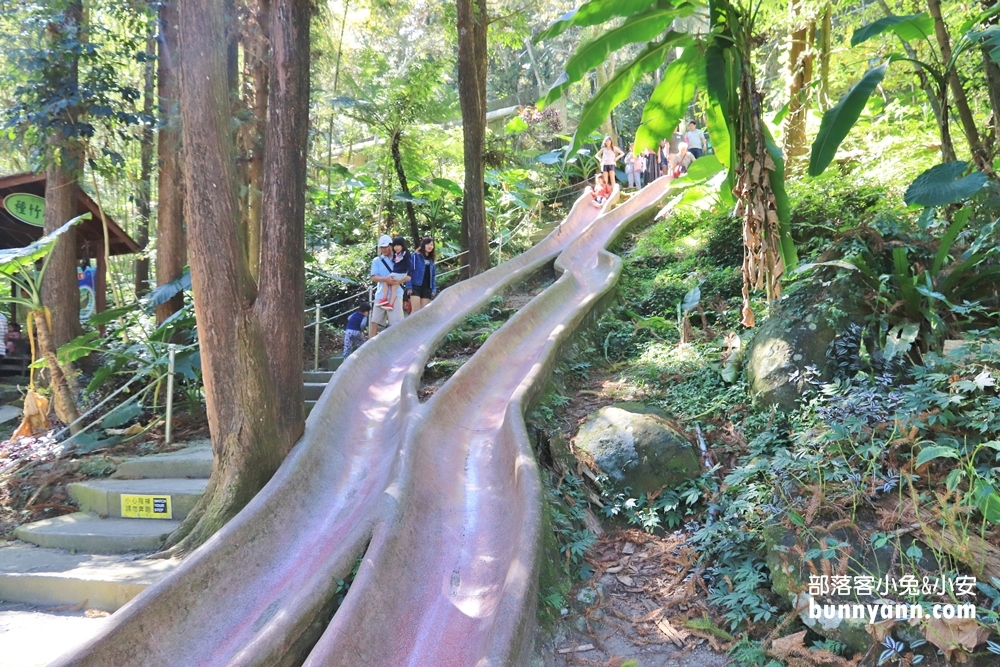 南投鳳凰谷鳥園生態園區，停留時間、門票優惠、環境一次攻略。