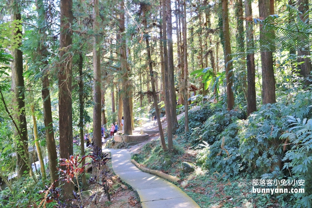 南投鳳凰谷鳥園生態園區，停留時間、門票優惠、環境一次攻略。
