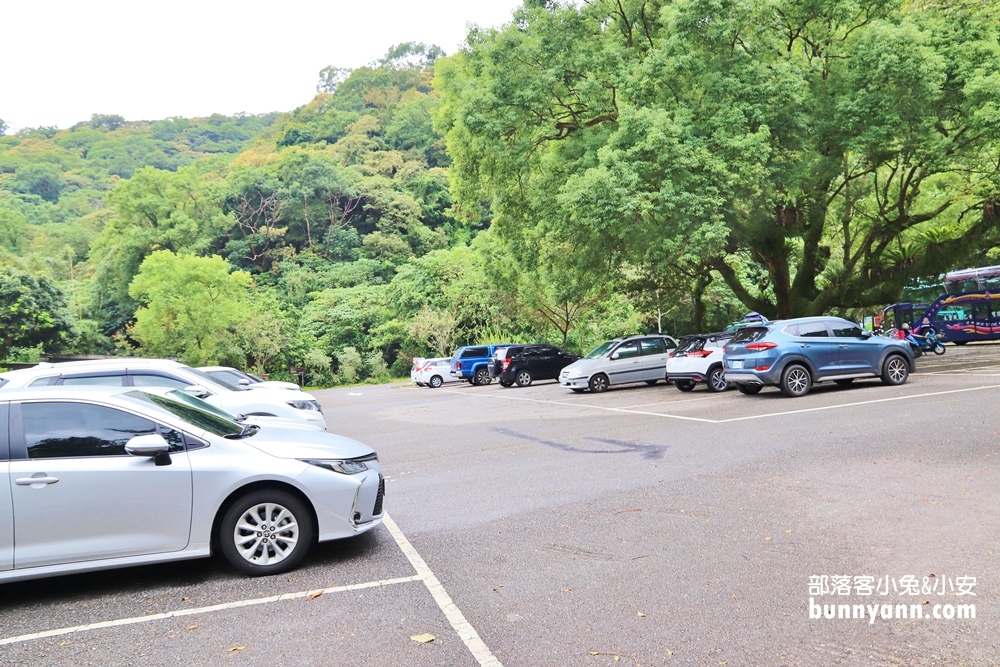 花蓮瀑布森林浴，撒固兒步道入門級森林步道，十分鐘輕鬆賞飛瀑
