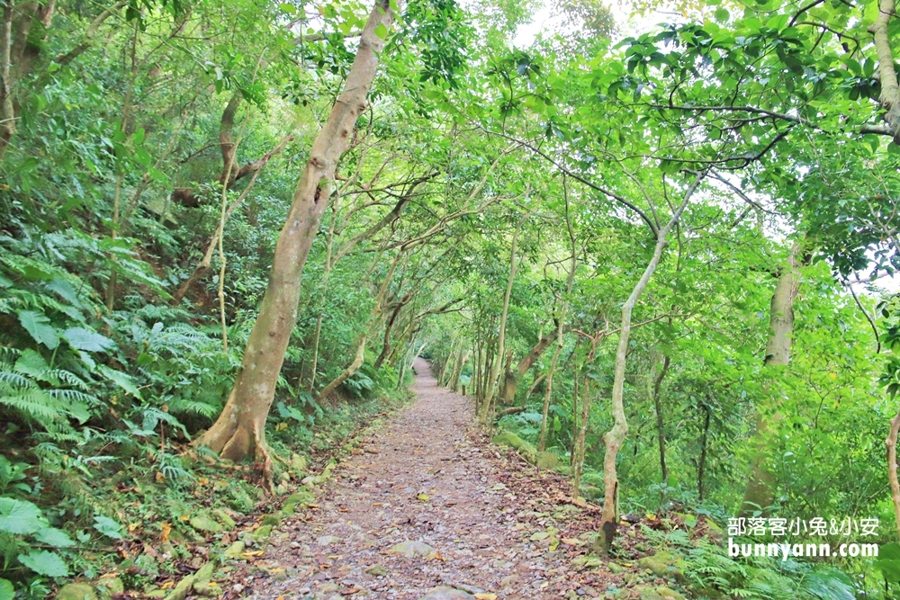 花蓮瀑布森林浴，撒固兒步道入門級森林步道，十分鐘輕鬆賞飛瀑