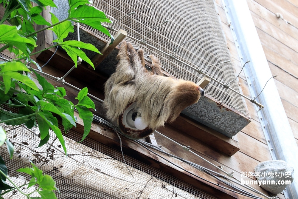 新竹【綠世界生態農場】小村落內的森林步道及可愛動物農場