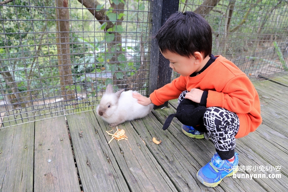 新竹【綠世界生態農場】小村落內的森林步道及可愛動物農場
