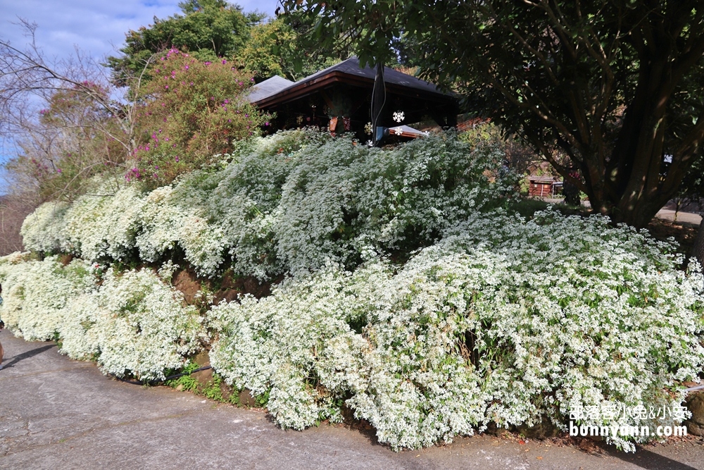 台中【沐心泉休閒農場】推薦沐心泉一日遊這樣玩，四季賞花最佳地點。