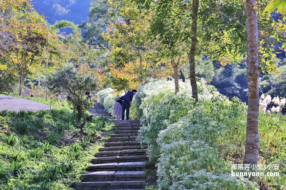 台中桃李河畔森林下午茶，森林小徑、池畔賞景，一起沐浴自然中