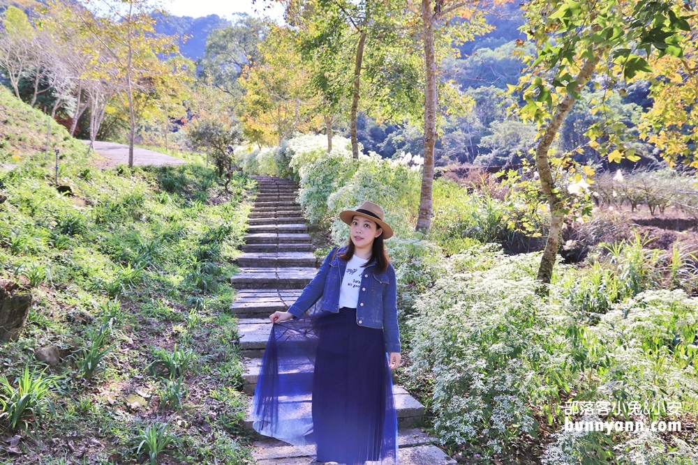 台中桃李河畔森林下午茶，森林小徑、池畔賞景，一起沐浴自然中