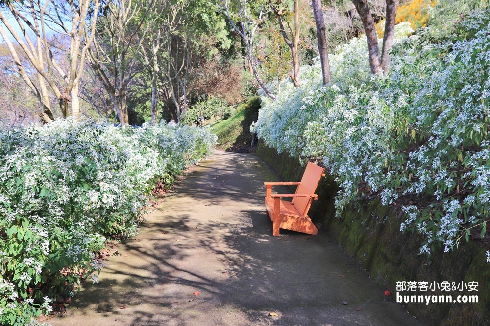 台中桃李河畔森林下午茶，森林小徑、池畔賞景，一起沐浴自然中
