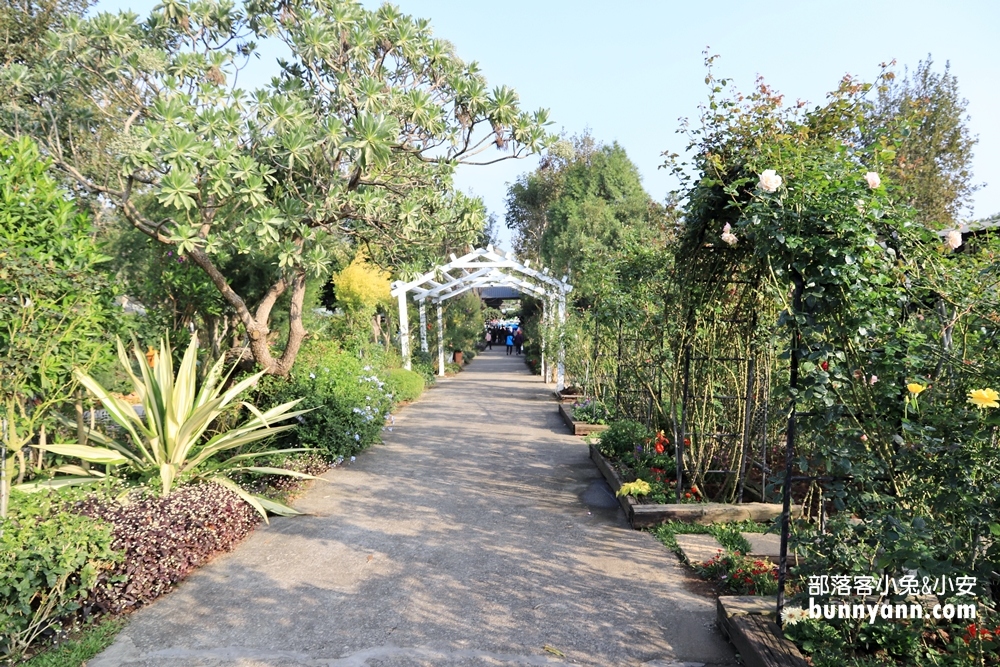 苗栗【雅聞香草植物工廠】暢遊玫瑰花園&哈比小屋隨你拍