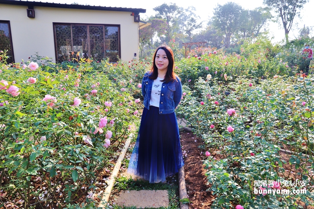 苗栗【雅聞香草植物工廠】暢遊玫瑰花園&哈比小屋隨你拍