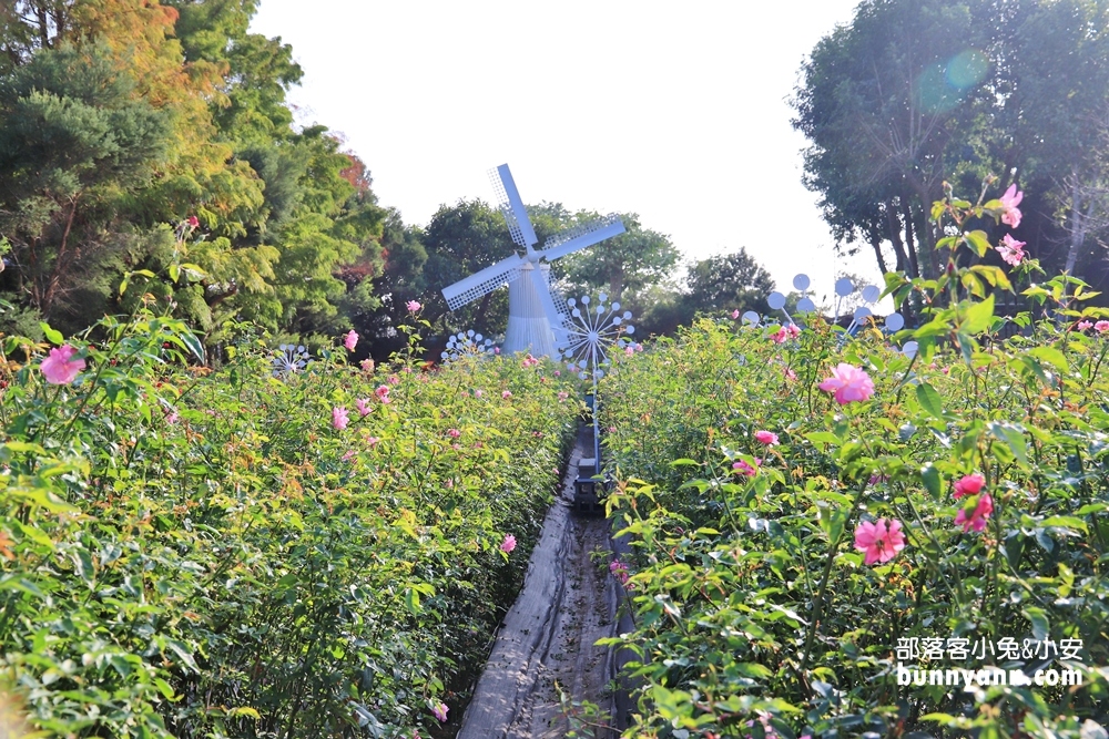 苗栗【雅聞香草植物工廠】暢遊玫瑰花園&哈比小屋隨你拍