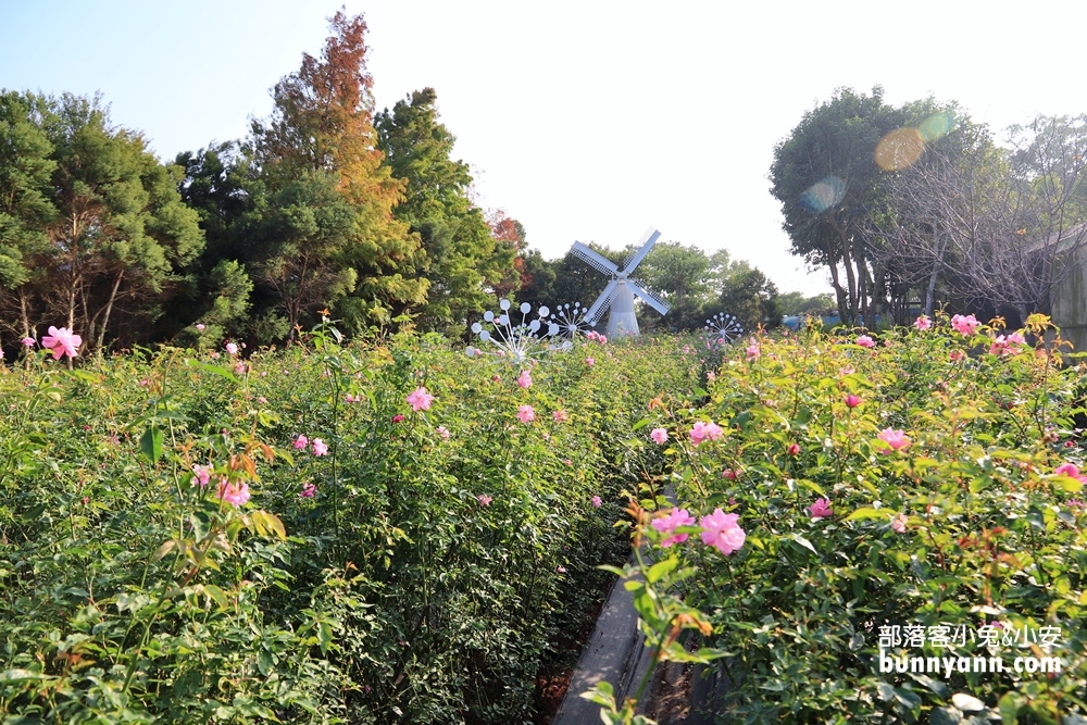 苗栗【雅聞香草植物工廠】暢遊玫瑰花園&哈比小屋隨你拍
