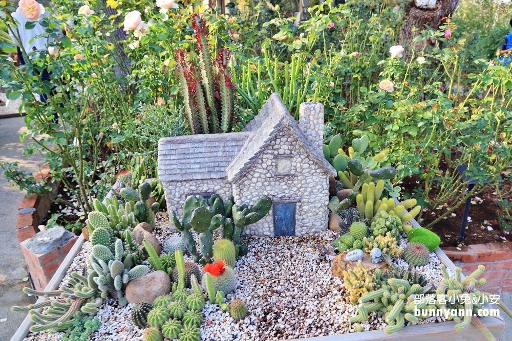 苗栗【雅聞香草植物工廠】暢遊玫瑰花園&哈比小屋隨你拍