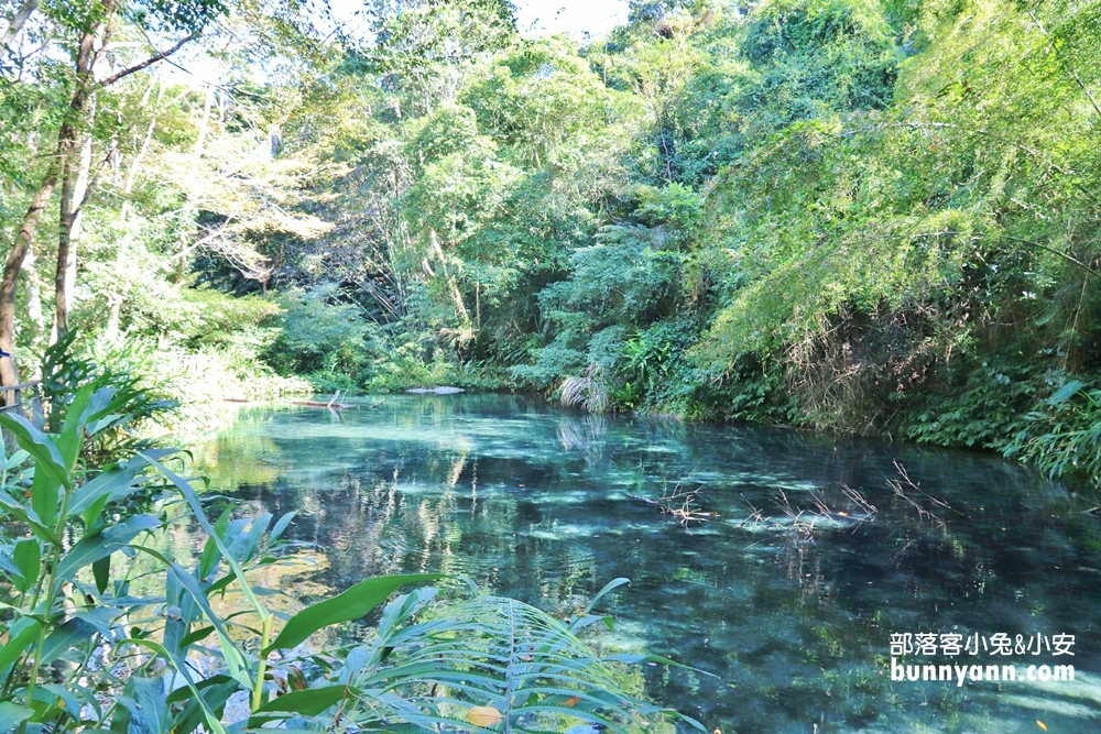 苗栗四十二份湧泉自然生態步道踏青去，翡翠綠湧泉超美的
